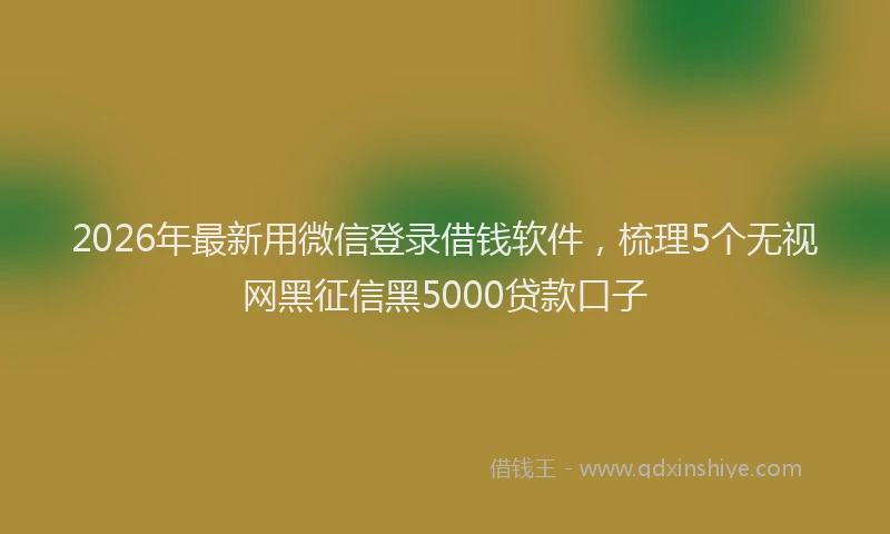 2026年最新用微信登录借钱软件，梳理5个无视网黑征信黑5000贷款口子