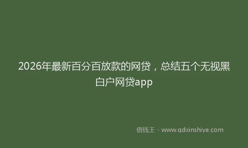 2026年最新百分百放款的网贷，总结五个无视黑白户网贷app