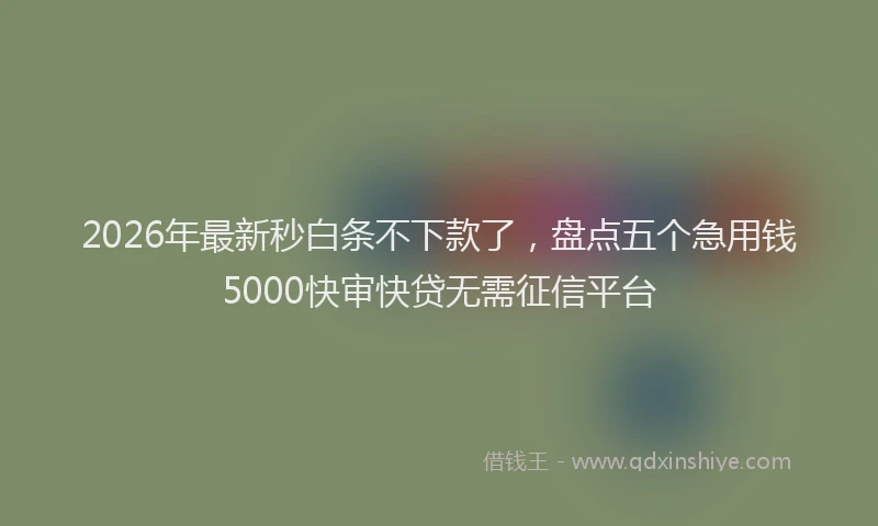 2026年最新秒白条不下款了，盘点五个急用钱5000快审快贷无需征信平台