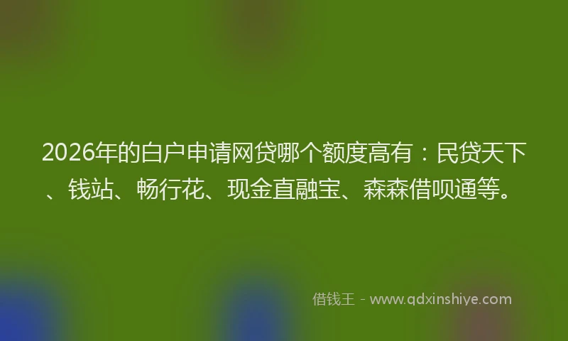 2026年的白户申请网贷哪个额度高有：民贷天下、钱站、畅行花、现金直融宝、森森借呗通等。
