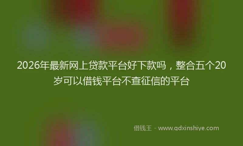 2026年最新网上贷款平台好下款吗，整合五个20岁可以借钱平台不查征信的平台