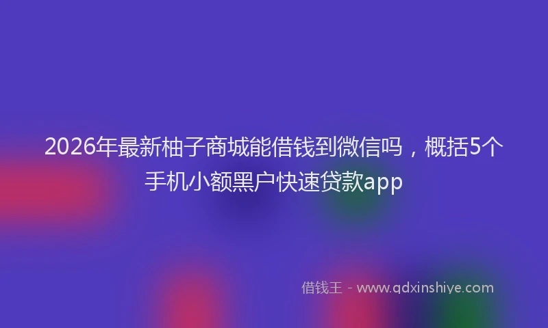2026年最新柚子商城能借钱到微信吗，概括5个手机小额黑户快速贷款app