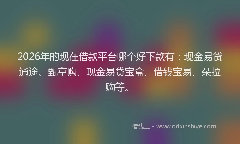 2026年的现在借款平台哪个好下款有：现金易贷通途、甄享购、现金易贷宝盒、借钱宝易、朵拉购等。
