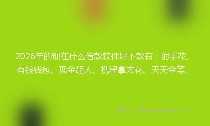 2026年的现在什么借款软件好下款有：射手花、有钱钱包、现金超人、携程拿去花、天天金等。