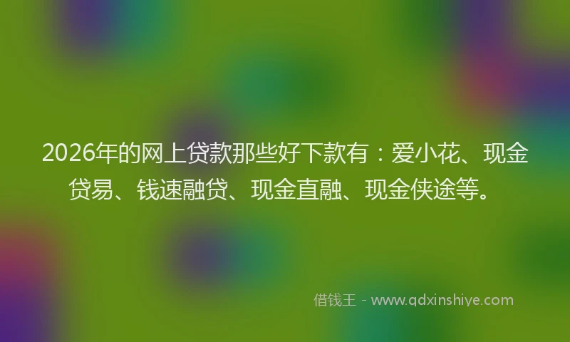 2026年的网上贷款那些好下款有：爱小花、现金贷易、钱速融贷、现金直融、现金侠途等。