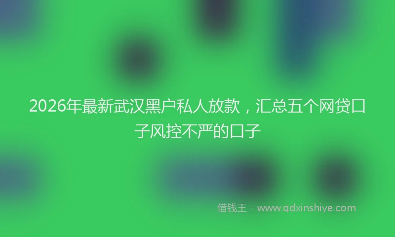 2026年最新武汉黑户私人放款，汇总五个网贷口子风控不严的口子
