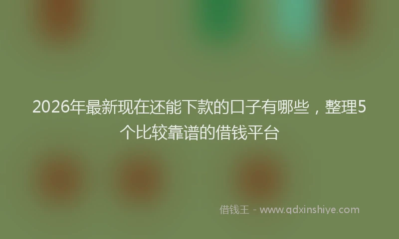 2026年最新现在还能下款的口子有哪些，整理5个比较靠谱的借钱平台