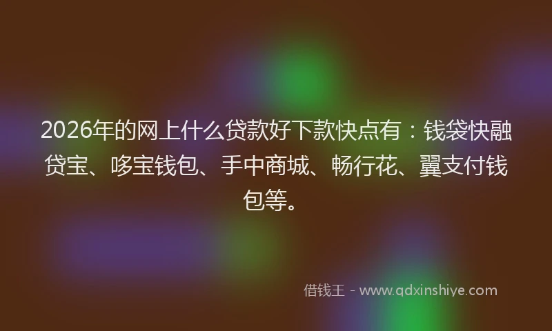 2026年的网上什么贷款好下款快点有：钱袋快融贷宝、哆宝钱包、手中商城、畅行花、翼支付钱包等。