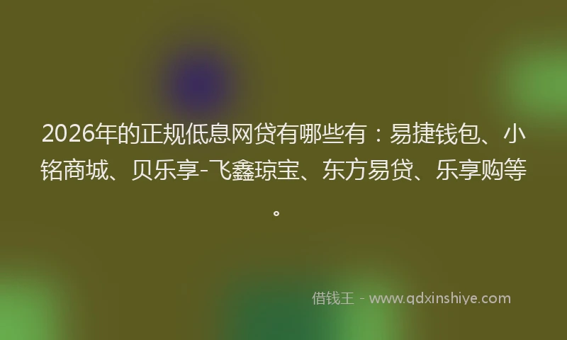 2026年的正规低息网贷有哪些有：易捷钱包、小铭商城、贝乐享-飞鑫琼宝、东方易贷、乐享购等。