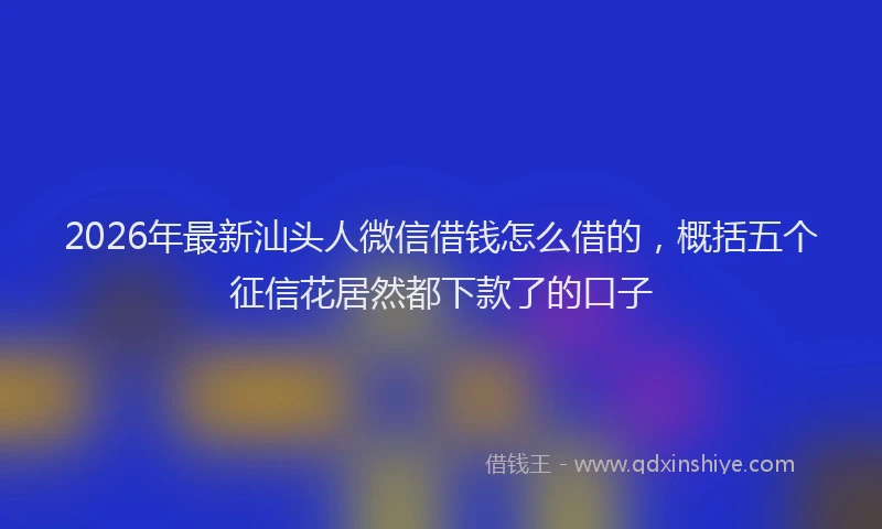 2026年最新汕头人微信借钱怎么借的，概括五个征信花居然都下款了的口子