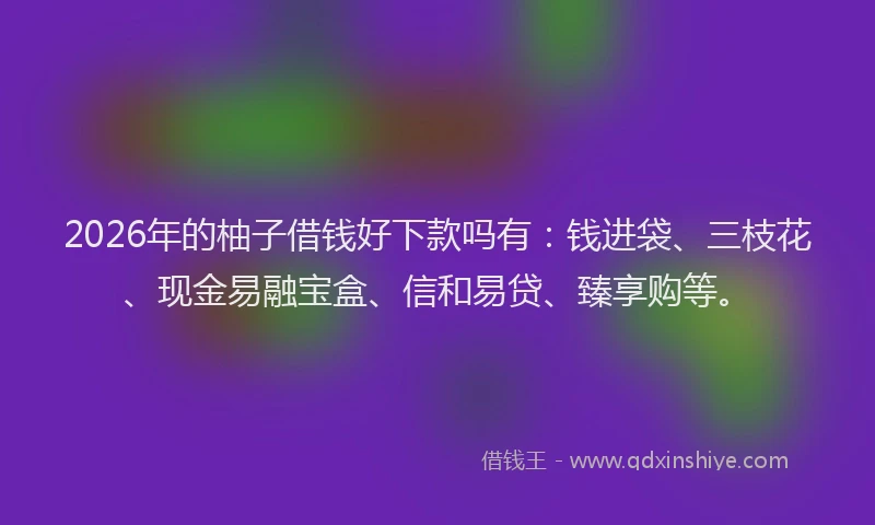 2026年的柚子借钱好下款吗有：钱进袋、三枝花、现金易融宝盒、信和易贷、臻享购等。