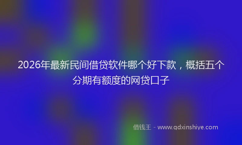 2026年最新民间借贷软件哪个好下款，概括五个分期有额度的网贷口子