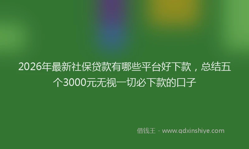 2026年最新社保贷款有哪些平台好下款，总结五个3000元无视一切必下款的口子