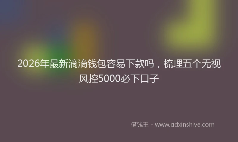 2026年最新滴滴钱包容易下款吗，梳理五个无视风控5000必下口子