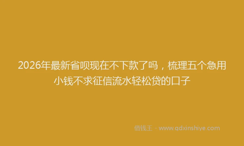 2026年最新省呗现在不下款了吗，梳理五个急用小钱不求征信流水轻松贷的口子