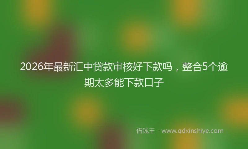 2026年最新汇中贷款审核好下款吗，整合5个逾期太多能下款口子