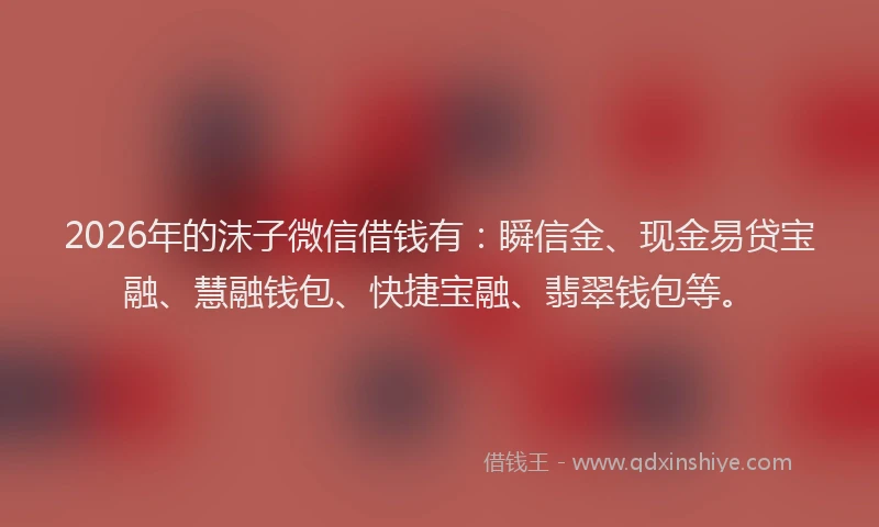 2026年的沫子微信借钱有：瞬信金、现金易贷宝融、慧融钱包、快捷宝融、翡翠钱包等。
