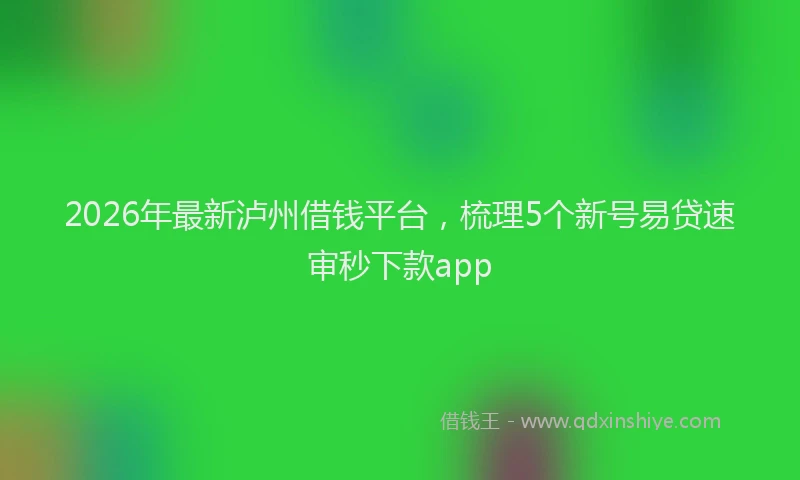 2026年最新泸州借钱平台，梳理5个新号易贷速审秒下款app