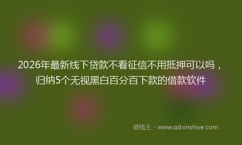 2026年最新线下贷款不看征信不用抵押可以吗，归纳5个无视黑白百分百下款的借款软件