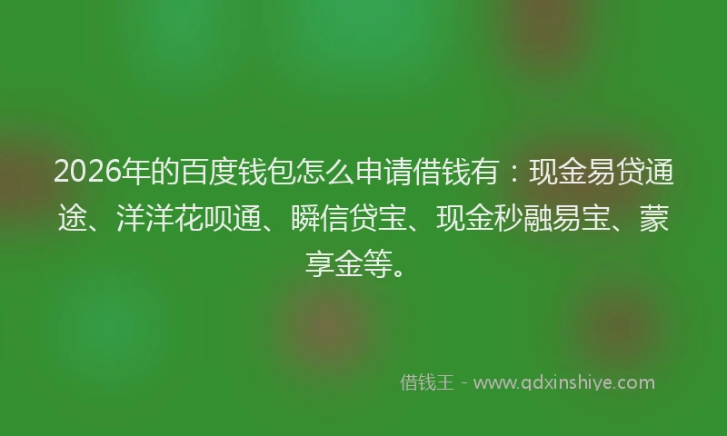 2026年的百度钱包怎么申请借钱有：现金易贷通途、洋洋花呗通、瞬信贷宝、现金秒融易宝、蒙享金等。