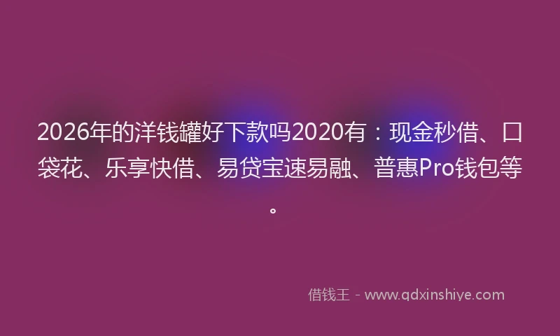 2026年的洋钱罐好下款吗2020有：现金秒借、口袋花、乐享快借、易贷宝速易融、普惠Pro钱包等。