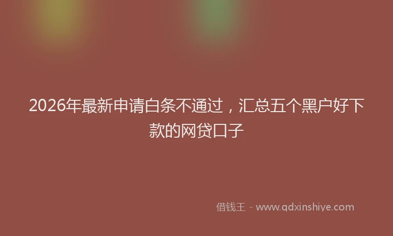 2026年最新申请白条不通过，汇总五个黑户好下款的网贷口子