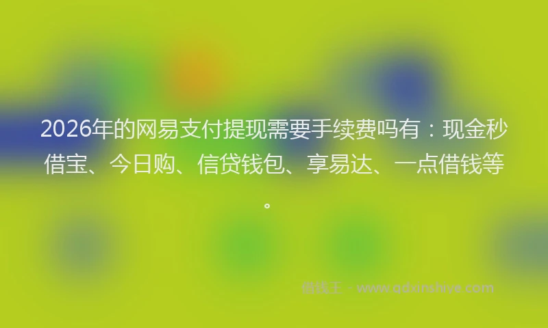 2026年的网易支付提现需要手续费吗有：现金秒借宝、今日购、信贷钱包、享易达、一点借钱等。