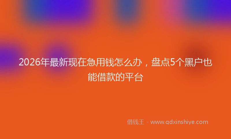 2026年最新现在急用钱怎么办，盘点5个黑户也能借款的平台