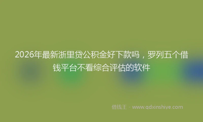 2026年最新浙里贷公积金好下款吗，罗列五个借钱平台不看综合评估的软件