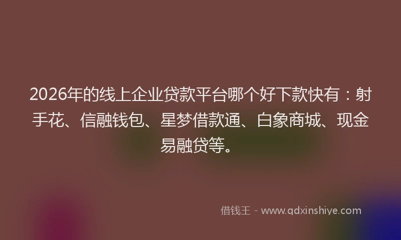 2026年的线上企业贷款平台哪个好下款快有：射手花、信融钱包、星梦借款通、白象商城、现金易融贷等。