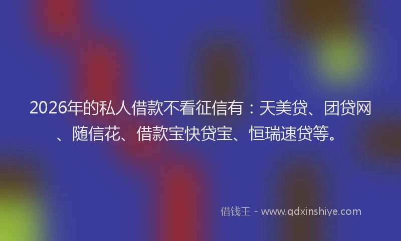 2026年的私人借款不看征信有：天美贷、团贷网、随信花、借款宝快贷宝、恒瑞速贷等。