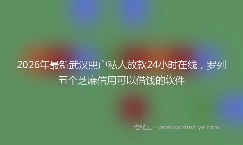 2026年最新武汉黑户私人放款24小时在线，罗列五个芝麻信用可以借钱的软件