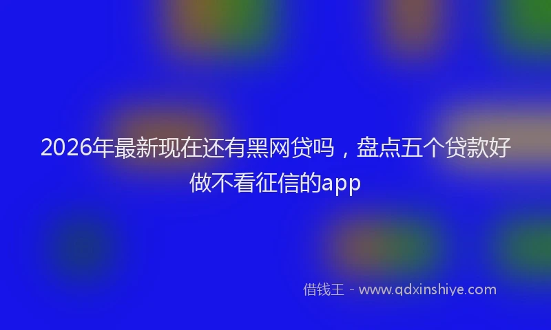 2026年最新现在还有黑网贷吗，盘点五个贷款好做不看征信的app