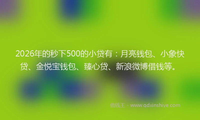 2026年的秒下500的小贷有：月亮钱包、小象快贷、金悦宝钱包、臻心贷、新浪微博借钱等。