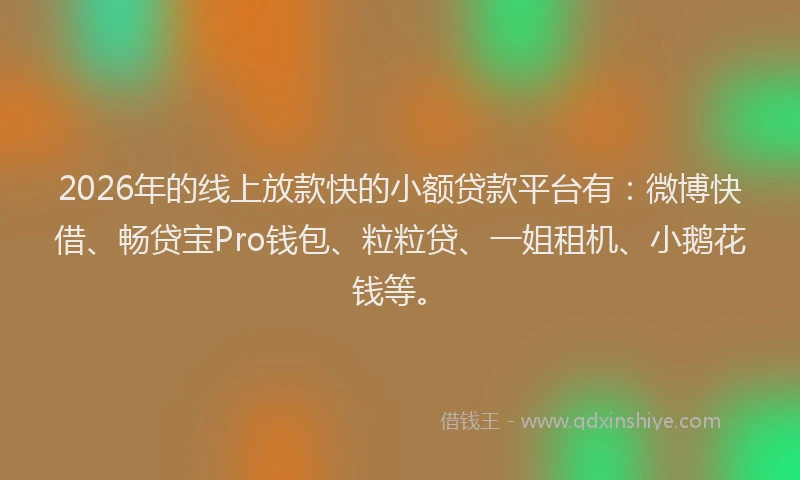 2026年的线上放款快的小额贷款平台有：微博快借、畅贷宝Pro钱包、粒粒贷、一姐租机、小鹅花钱等。