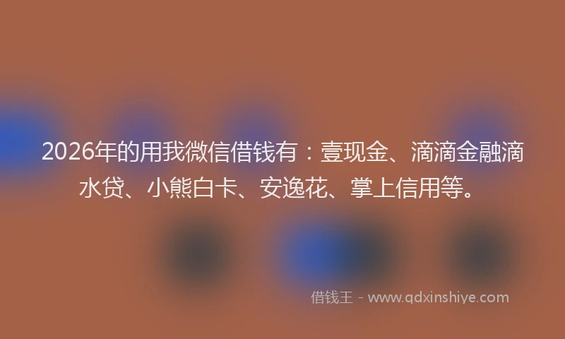 2026年的用我微信借钱有：壹现金、滴滴金融滴水贷、小熊白卡、安逸花、掌上信用等。