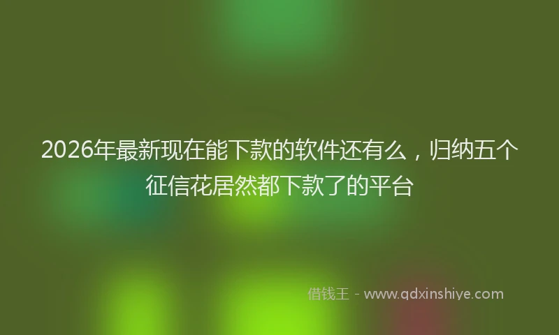 2026年最新现在能下款的软件还有么，归纳五个征信花居然都下款了的平台