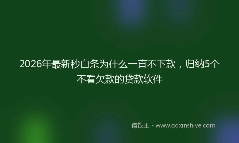 2026年最新秒白条为什么一直不下款，归纳5个不看欠款的贷款软件