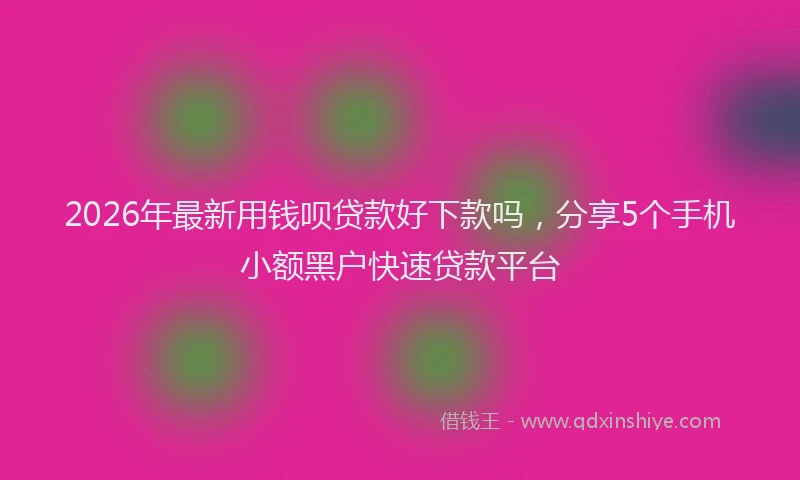 2026年最新用钱呗贷款好下款吗，分享5个手机小额黑户快速贷款平台