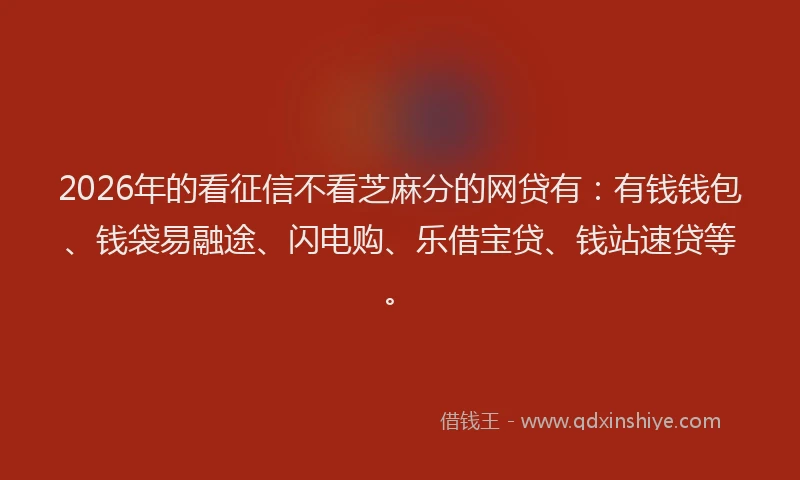 2026年的看征信不看芝麻分的网贷有：有钱钱包、钱袋易融途、闪电购、乐借宝贷、钱站速贷等。