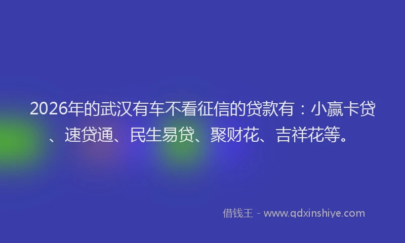2026年的武汉有车不看征信的贷款有：小赢卡贷、速贷通、民生易贷、聚财花、吉祥花等。