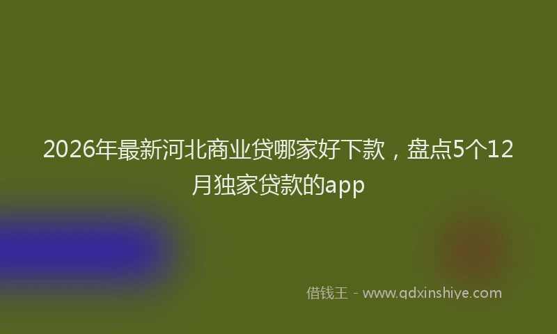 2026年最新河北商业贷哪家好下款，盘点5个12月独家贷款的app