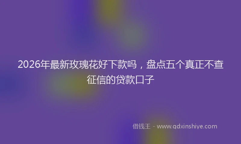 2026年最新玫瑰花好下款吗，盘点五个真正不查征信的贷款口子