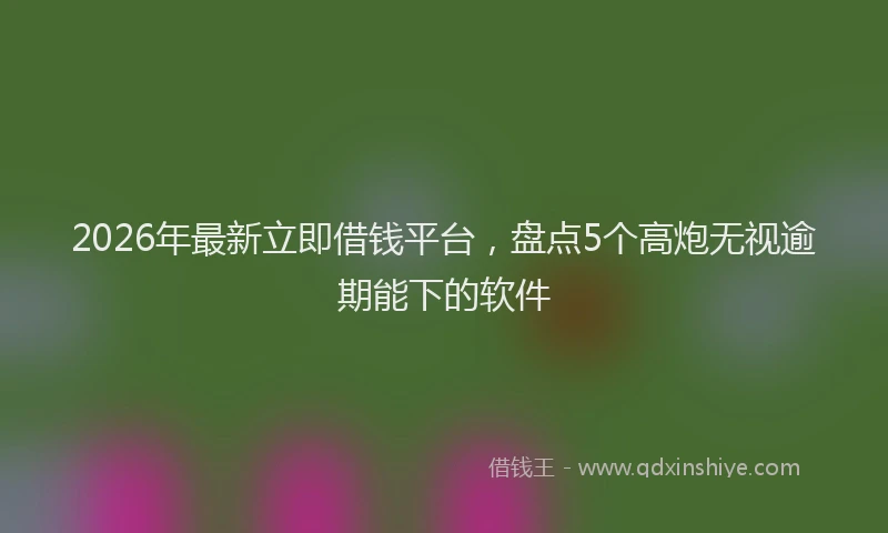 2026年最新立即借钱平台，盘点5个高炮无视逾期能下的软件