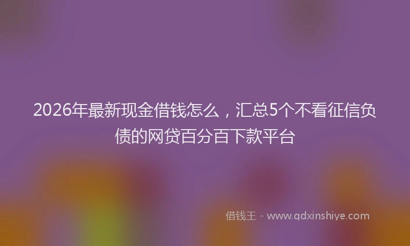 2026年最新现金借钱怎么，汇总5个不看征信负债的网贷百分百下款平台