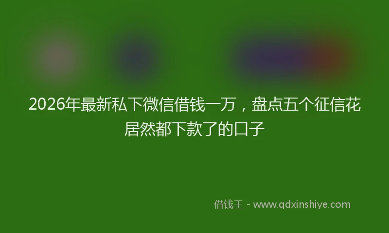 2026年最新私下微信借钱一万，盘点五个征信花居然都下款了的口子