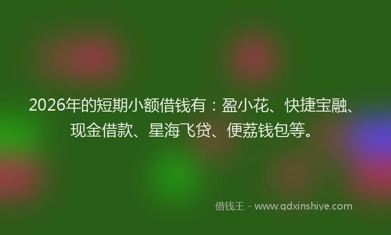 2026年的短期小额借钱有：盈小花、快捷宝融、现金借款、星海飞贷、便荔钱包等。