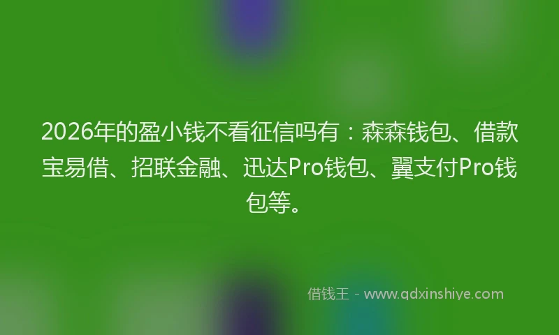 2026年的盈小钱不看征信吗有：森森钱包、借款宝易借、招联金融、迅达Pro钱包、翼支付Pro钱包等。