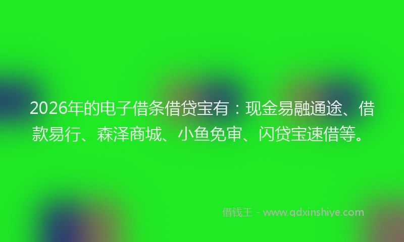 2026年的电子借条借贷宝有：现金易融通途、借款易行、森泽商城、小鱼免审、闪贷宝速借等。
