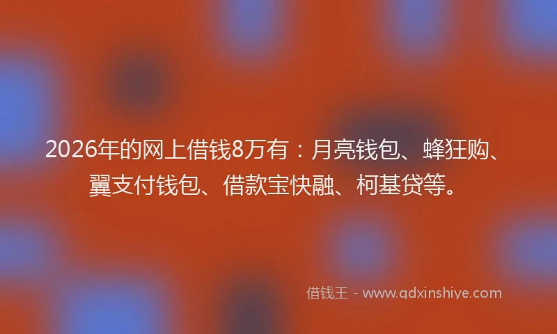 2026年的网上借钱8万有：月亮钱包、蜂狂购、翼支付钱包、借款宝快融、柯基贷等。